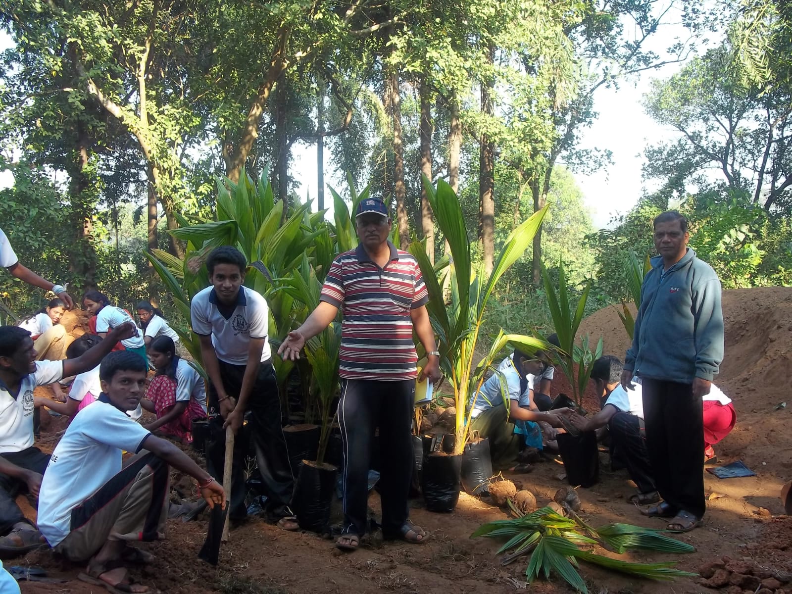 Agriculture and Horticulture